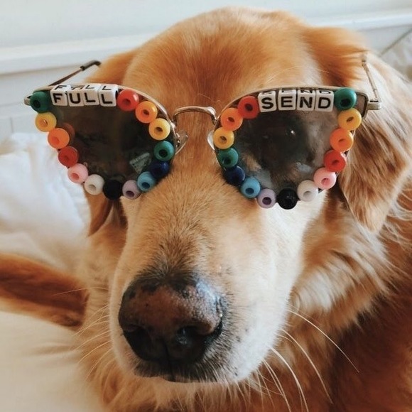 Meet your Posher, Ally - Picture 1 of 1